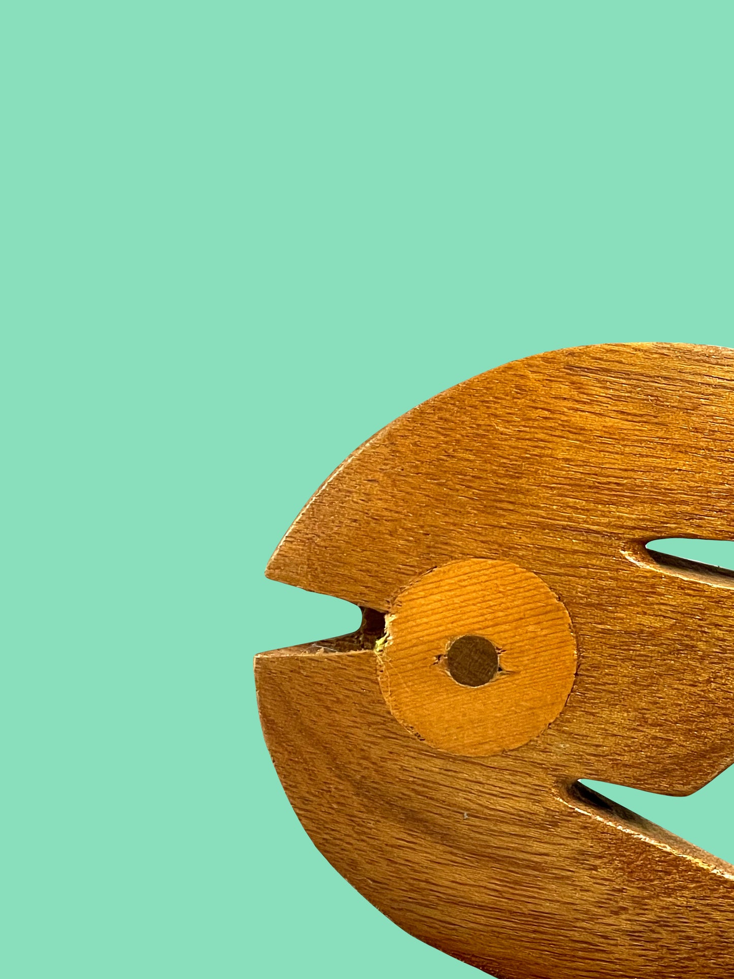 "Big Eye" wooden fish sculpture